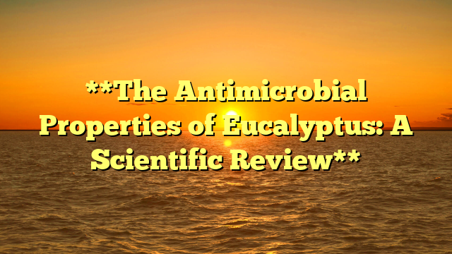 **The Antimicrobial Properties of Eucalyptus: A Scientific Review**